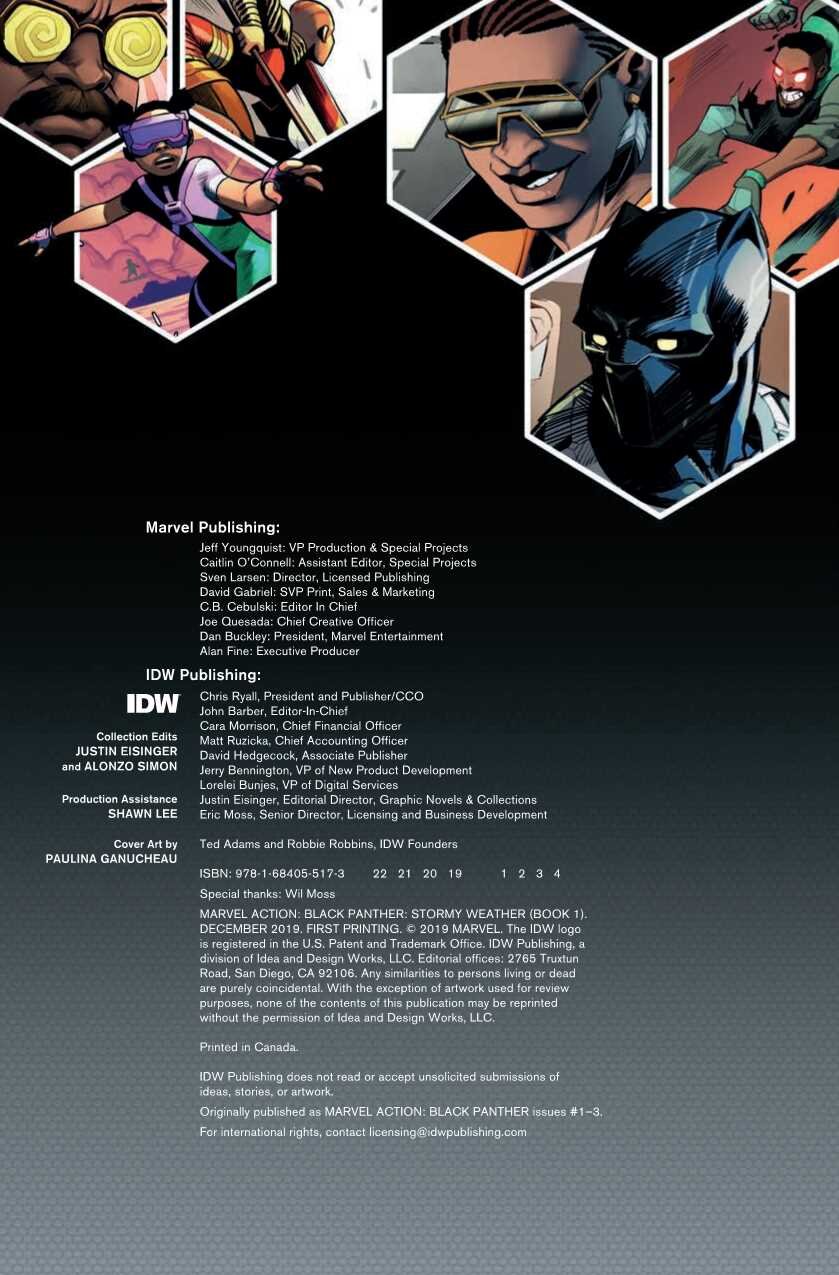 MARVEL ACTION BLACK PANTHER TP BOOK 01 (OF 2) STORMY WEATHER
