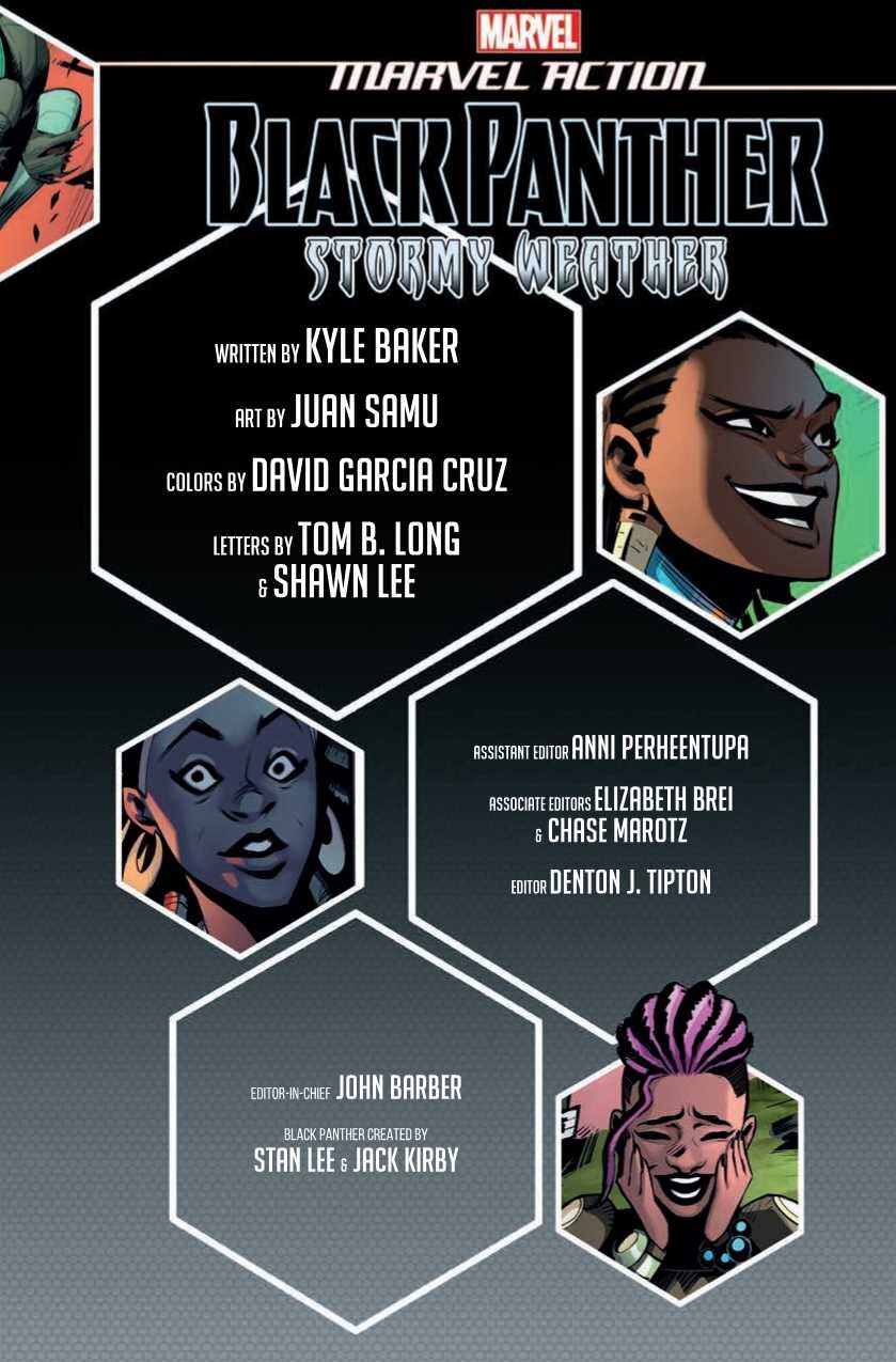 MARVEL ACTION BLACK PANTHER TP BOOK 01 (OF 2) STORMY WEATHER