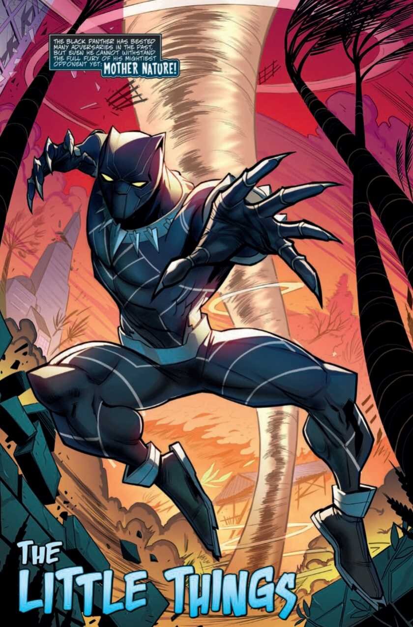 MARVEL ACTION BLACK PANTHER TP BOOK 01 (OF 2) STORMY WEATHER