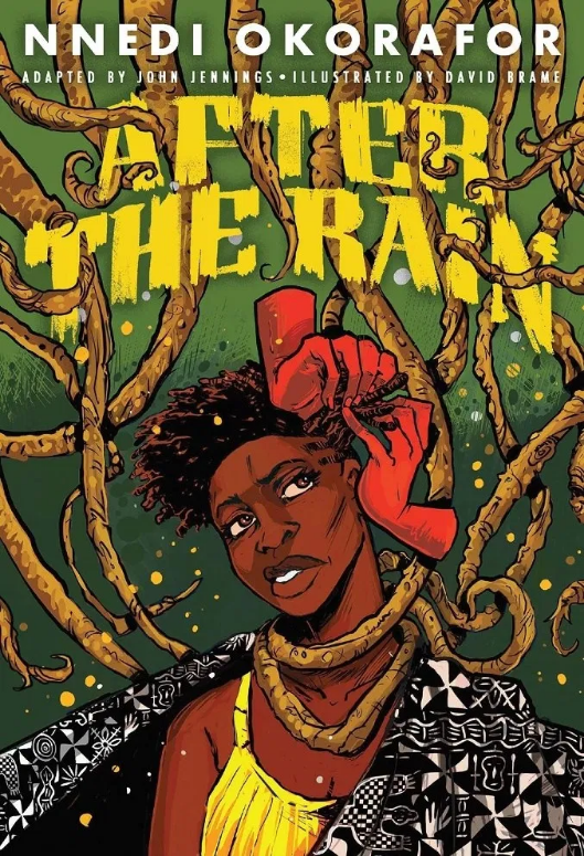 AFTER THE RAIN GRAPHIC NOVEL